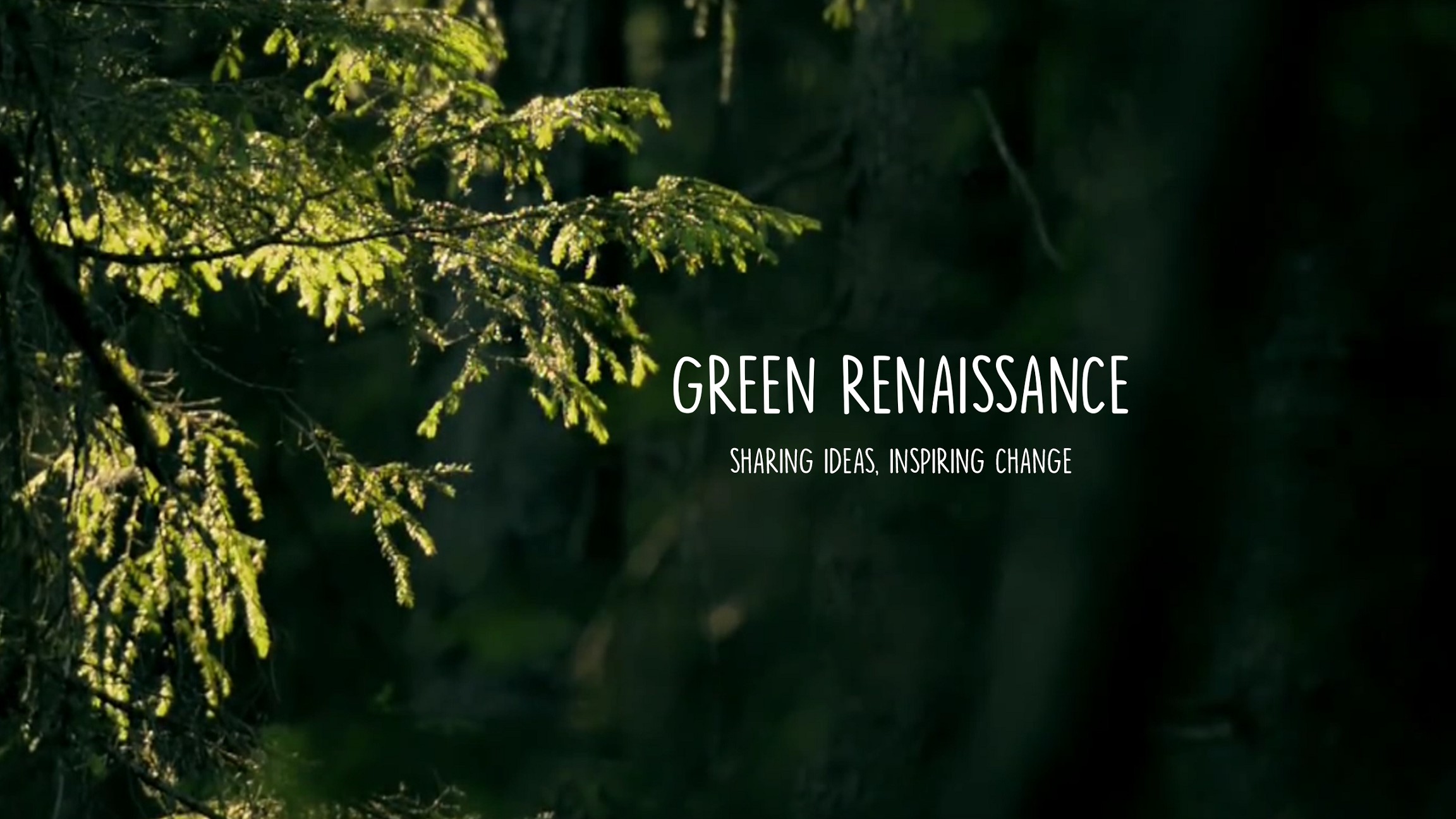 Green Renaissance | LinkedIn