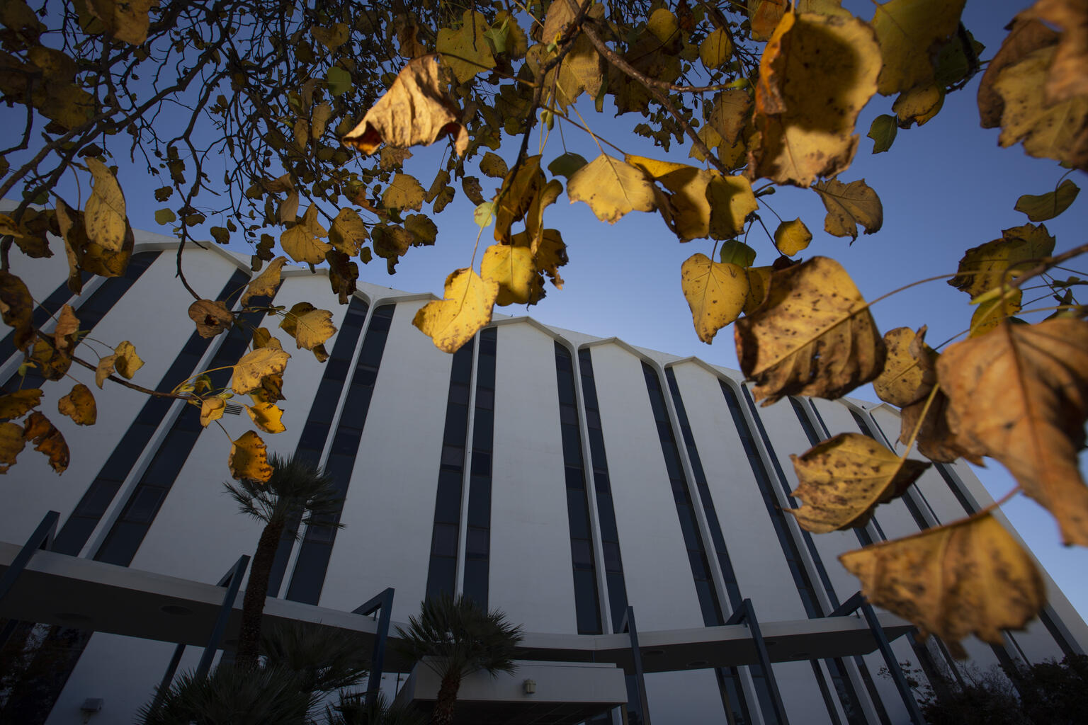 California State University Fullerton on LinkedIn: Academic Calendar California State University Fullerton on LinkedIn: Academic Calendar