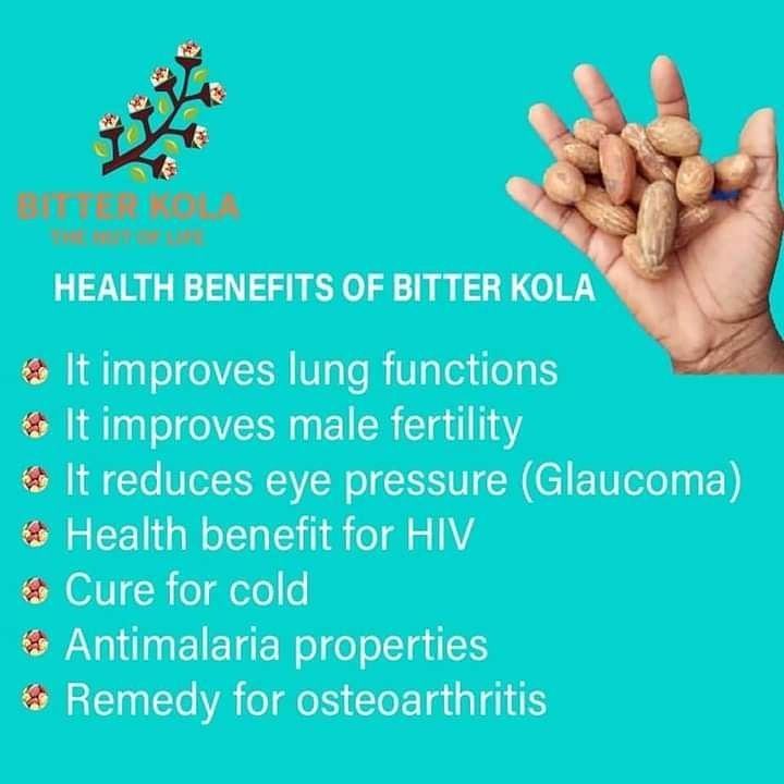 health benefits of bitter kola benefits of bitter kola benefit of bitter kola in woman 10 benefits of bitter kola benefits of eating bitter kola on empty stomach eating bitter kola on empty stomach side effects of bitter kola benefit of bitter kola in man bitter kola nut benefits benefits of kola nut importance of bitter kola benefits of bitter kola to woman benefits of bitter kola and honey health benefit of bitter kola and garlic health benefits of bitter kola and honey effects of eating bitter kola on empty stomach health benefits of kola nut benefits of bitter kola soaked in water benefits of eating bitter kola and alligator pepper together benefits of eating bitter kola first thing in the morning health benefit of bitter kola and alligator pepper bitter kola benefits and side effects usefulness of bitter kola advantages of bitter kola health benefits of wonderful kola garcinia kola benefits 30 health benefits of bitter kola benefits of eating bitter kola health benefits of bitter kola soaked in water bitter kola nut benefits and side effects kolanut health benefits medicinal value of bitter kola bitter kola benefit for man bitter kola and lemon benefits benefits of bitter kola and tiger nuts the health benefits of bitter kola nutritional value of bitter kola bitter kola ginger and garlic mixture benefits benefits of bitter kola to man kolanut benefit health benefits of eating bitter kola health benefits of alligator pepper and bitter kola bitter kola and milk benefits orogbo health benefits health benefits of bitter kola ginger garlic and honey bitter kola benefits in the body bitter nut benefits health benefits of bitter leaf and bitter kola bitter kola nut health benefits bitter kola and honey benefits bitter kola benefit for woman bitter kola nut for weight loss medicinal benefits of bitter kola benefits of alligator pepper and bitter kola bitter kola soaked in water benefits benefits of chewing bitter kola bitter kola benefits to man orogbo benefits advantages of kolanut african bitter kola nuts benefits health benefits of garcinia kola importance of bitter kola in the body benefit of coconut water and bitter kola medicinal uses of bitter kola bitter kola powder benefits benefits of bitter kola and milk benefits of bitter kola and coconut water side effects of eating bitter kola effect of bitter kola on liver importance of bitter kola to man health benefits of bitter kola and tiger nut 18 health benefits of wonderful kola benefits of orogbo benefits of bitter kola and groundnut bitter kola health benefits and side effects ginger and bitter kola benefits beta kola benefits benefits of bitter kola for men health benefits of kola nut leaves kola nut benefits and side effects side effects of bitter kola to man benefits of bitter kola and alligator pepper african kola nut health benefits bitter kola nutrition facts properties of bitter kola benefits of kola nut to man the side effect of bitter kola bitter kola nut side effects medicinal properties of bitter kola bitter kola uses and benefits benefits of wonderful kola nut advantage of eating bitter kola nutritional value of kola nut medicinal use of bitter kola bitter kola nut and weight loss benefits of bitter kola in the body nutritional benefits of bitter kola effect of bitter kola in the body medicinal value of kola nut health benefits of bitter kola and milk alligator pepper and bitter kola benefits effect of bitter kola on blood sugar health of bitter kola the usefulness of bitter kola side effect of bitter kola in the body benefit of bitter kola in a man benefits of bitter kola for diabetes health benefits of eating kola nuts bitter kola seeds benefits health benefits of bitter kola and bitter lemon chewing bitter kola negative effects of bitter kola importance of bitter kola nut benefits and side effects of bitter kola the benefit of kola nut benefits of bitter kola ginger and garlic benefits of bitter kola and lemon benefits of bitter kola and dates benefits of bitter kola nut to man health benefits of bitter kola and lemon bitter kola advantage skin benefits of bitter kola benefit of kola nut to the body medicinal importance of bitter kola benefits of bitter nut bitter kola and ginger benefits benefits of bitter kola to the body health importance of bitter kola health benefits of bitter kola for men health benefits of bitter kola and groundnut garlic and bitter kola health benefits bitter nuts benefits bitter kola skin benefits bitter kola and its benefits bitter kola leaves benefits health benefits of bitter kola to man african bitter kola benefits bitter kola for skin bitter kola benefits for skin importance of bitter kola to human health garcinia kola benefits and side effects benefits of bitter kola ginger garlic and honey medicinal effect of bitter kola importance of bitter kola to the body advantages of bitter kola to the body effect of bitter kola on drugs petit kola health benefits benefits of bitter kola to the liver benefits of kola nut to human body health benefits of bitter kola to woman usefulness of bitter kola to the body side effects of garcinia kola bitter kola benefits for cough bitter kola and heart disease 10 health benefits of bitter kola benefit of bitter kola for woman kola nut and high blood pressure the benefits of bitter kola to human health bitter kola and immune system usefulness of bitter kola in the body benefits of ginger garlic and bitter kola the medicinal value of bitter kola bitter kola medicinal uses bitter kola for lungs benefits of bitter kola for fertility bitter nut health benefits benefits of bitter kola water medicinal uses of kola nut effect of bitter kola on diabetes health benefits and side effects of bitter kola health benefit of bitter kola and ginger nutritional value of bitter kola nut bitter kola nut and high blood pressure garcinia kola medicinal uses health benefit of bitter kola on diabetes health benefits of bitter kola ginger and garlic health benefit of ginger garlic and bitter kola bitter kola medicinal benefits bitter kola and lungs bitter kola nut weight loss health benefits of bitter kola pdf bitter kola good for cough bitter kola and eye pressure medicinal value of bitter kola nut functions of bitterkola bitter kola and heart advantage of bitter kola in the body effect of bitterkola benefits of bitter kola health benefits of bitter kola bitter kola garcinia kola bitter kola nut bitter kola nut benefits side effects of bitter kola kola nut benefits health benefits of uses of bitter kola health benefits of kola nut seeds benefits garcinia kola benefits benefits of health bitter kola benefits and side effects bitter plant effect of bitter kola african bitter kola bitter kola nut benefits and side effects the health benefits of bitter kola bitter kola plant the health benefits increase health the use of bitter kola bitter kola seeds african bitter kola nuts nigerian bitter kola bitter kola nut health benefits bitter nut kola bitter kola drink kola nut and bitter kola bitter nut benefits bitter benefits bitter kola and kola nut african bitter kola nuts benefits health benefits of garcinia kola kola benefits benefits for health pulse benefits about bitter kola kola extract benefits african kola nut health benefits the effect of bitter kola health benefits of kola bitter kola health benefits and side effects nut health benefits garcinia kola nut kola nut benefits and side effects properties of bitter kola useful of bitter kola the side effect of bitter kola bitter plants benefits bitter kola nut side effects bitter kola uses and benefits bitter kola supplement the uses of bitter kola kola nut extract benefits bitter kola in nigeria bitter kola extract uses of garcinia kola health of bitter kola garcinia kola side effects bitter kola seeds benefits garcinia bitter kola uses of bitter kola nut sour kola benefits and side effects of bitter kola the benefit of kola nut african bitter kola benefits benefits of bitter nut bitter kola bitter kola have plant bitter nuts benefits kola bitter nuts bitter kola use garcinia kola benefits and side effects garcinia plant benefits garcinia kola seed kola seed extract benefits bitter kola used for bitter nut health benefits health benefits and side effects of bitter kola kola bitter nut nigerian bitter kola nut