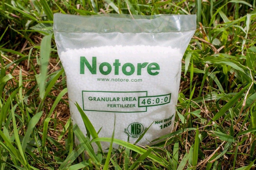 notore-plc-on-linkedin-fertiliseruse-howtoapply-notorefertiliser