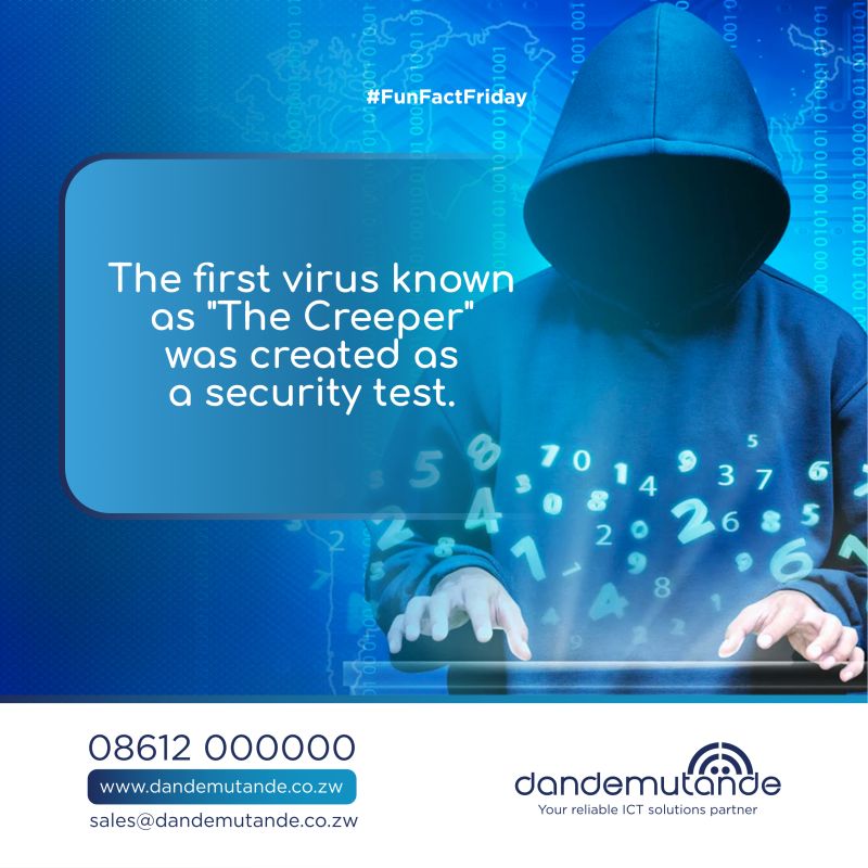 Dandemutande Private Limited on LinkedIn: #funfactfriday Dandemutande Private Limited on LinkedIn: #funfactfriday