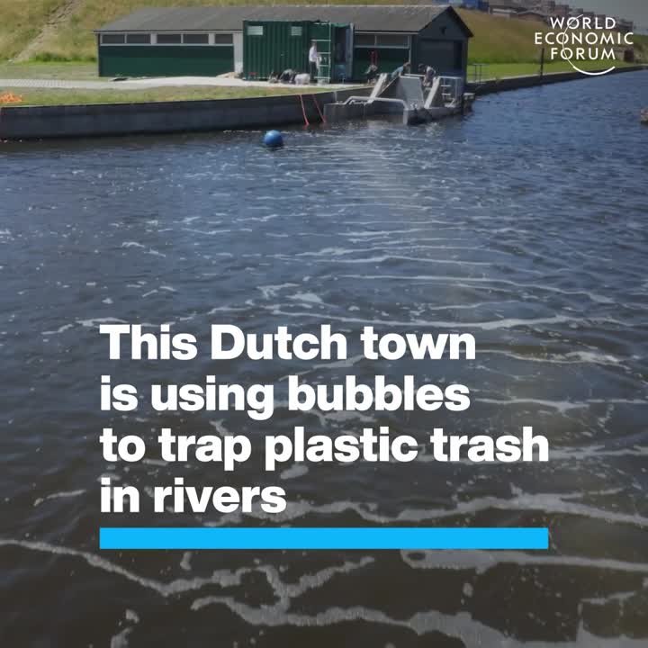 World Economic Forum on LinkedIn: The wall of bubbles traps plastic in the river while still letting | 1731 comments