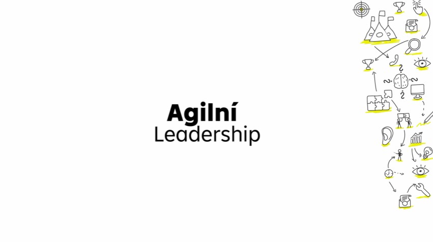 Lenka Pincot on LinkedIn: #leadership #transformation #agile