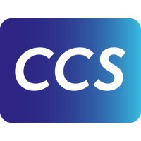Ccs Content Conversion Specialists Linkedin