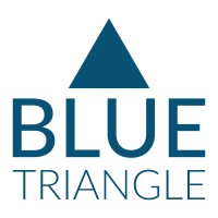 Blue Triangle Linkedin