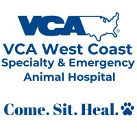 vca west hospital animal