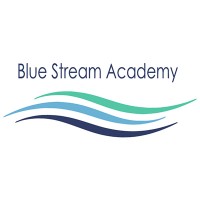 Blue Stream Academy | LinkedIn