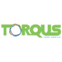 Torqus Systems Private Limited | LinkedIn