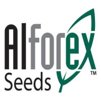 Alforex seeds othello walmart cashing out money from forex
