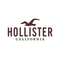 Hollister Co Linkedin