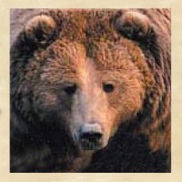 Black Forest Decor Linkedin