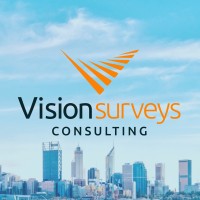 Vision Surveys Consulting