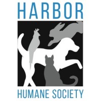 Harbor humane society in west olive mi accenture chicago careers