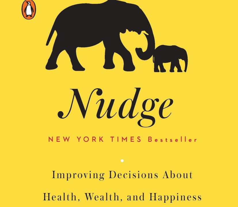 review of the book nudge