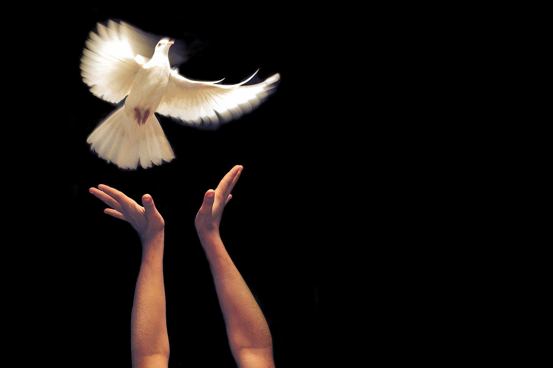 When Release is released? When Release is released?