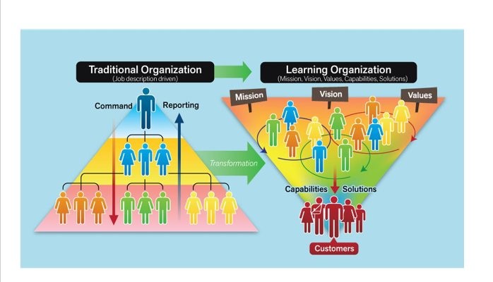 traditional organization vs learning organization