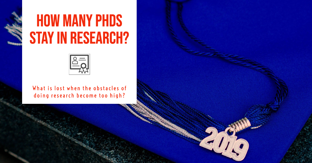 how many phds become professors