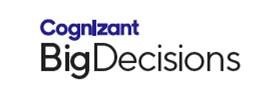 Bigdecisions cognizant nuance omnipage 15 professional
