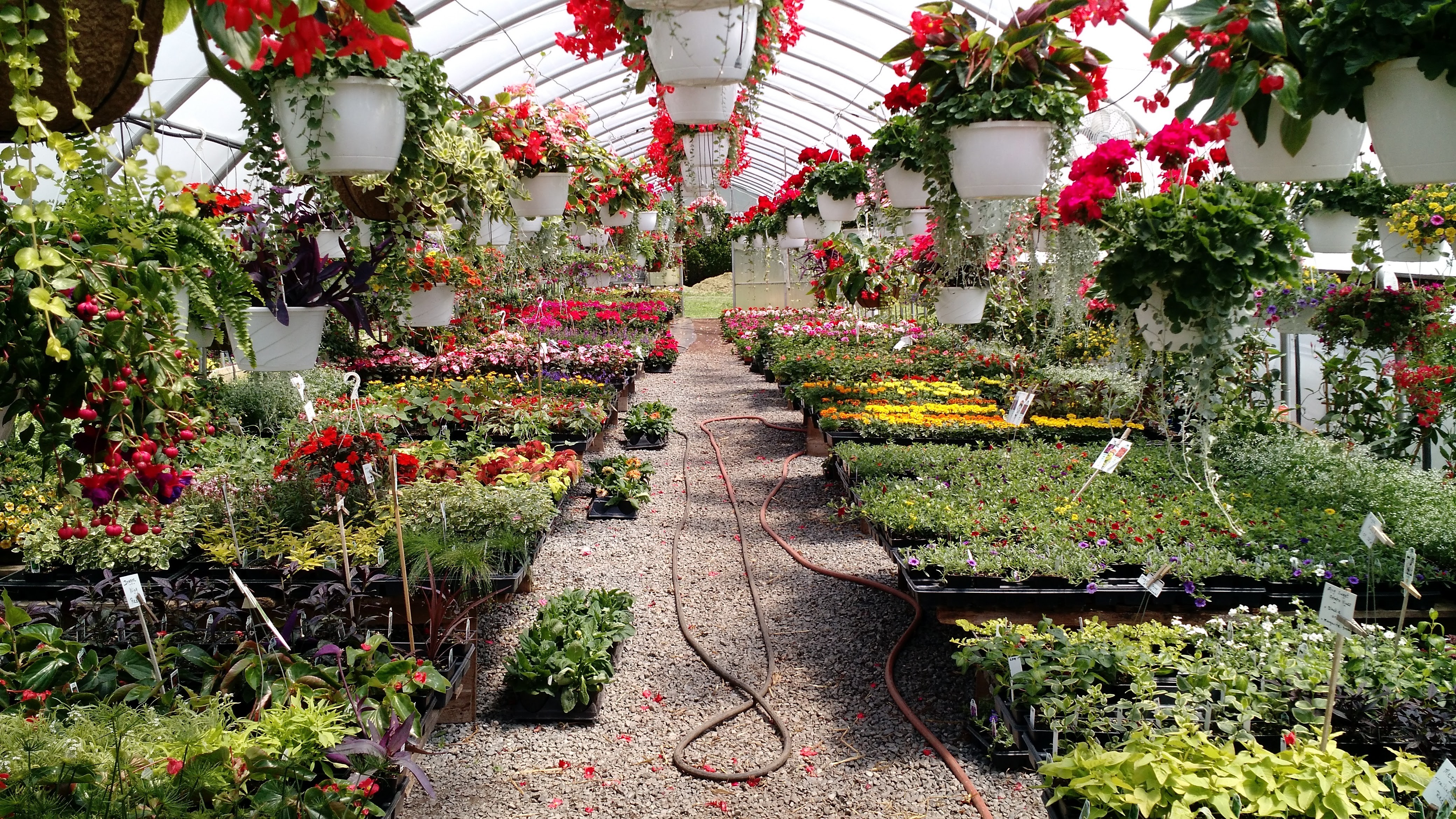 Homestead Gardens Linkedin