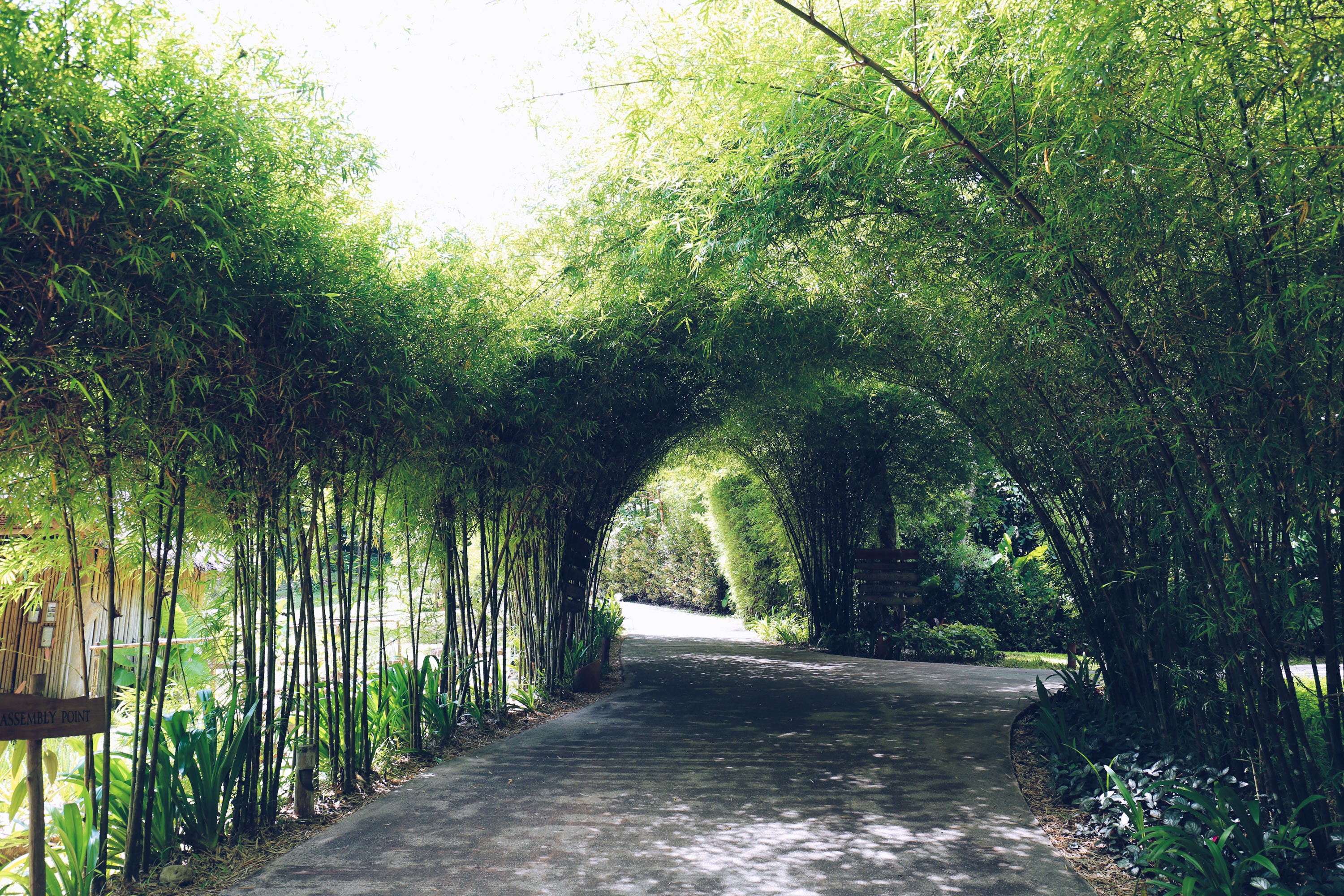The Bamboo Garden Linkedin