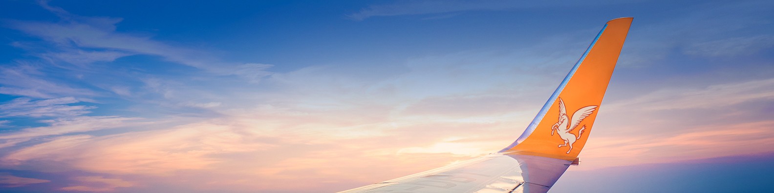 Pegasus Airlines Linkedin