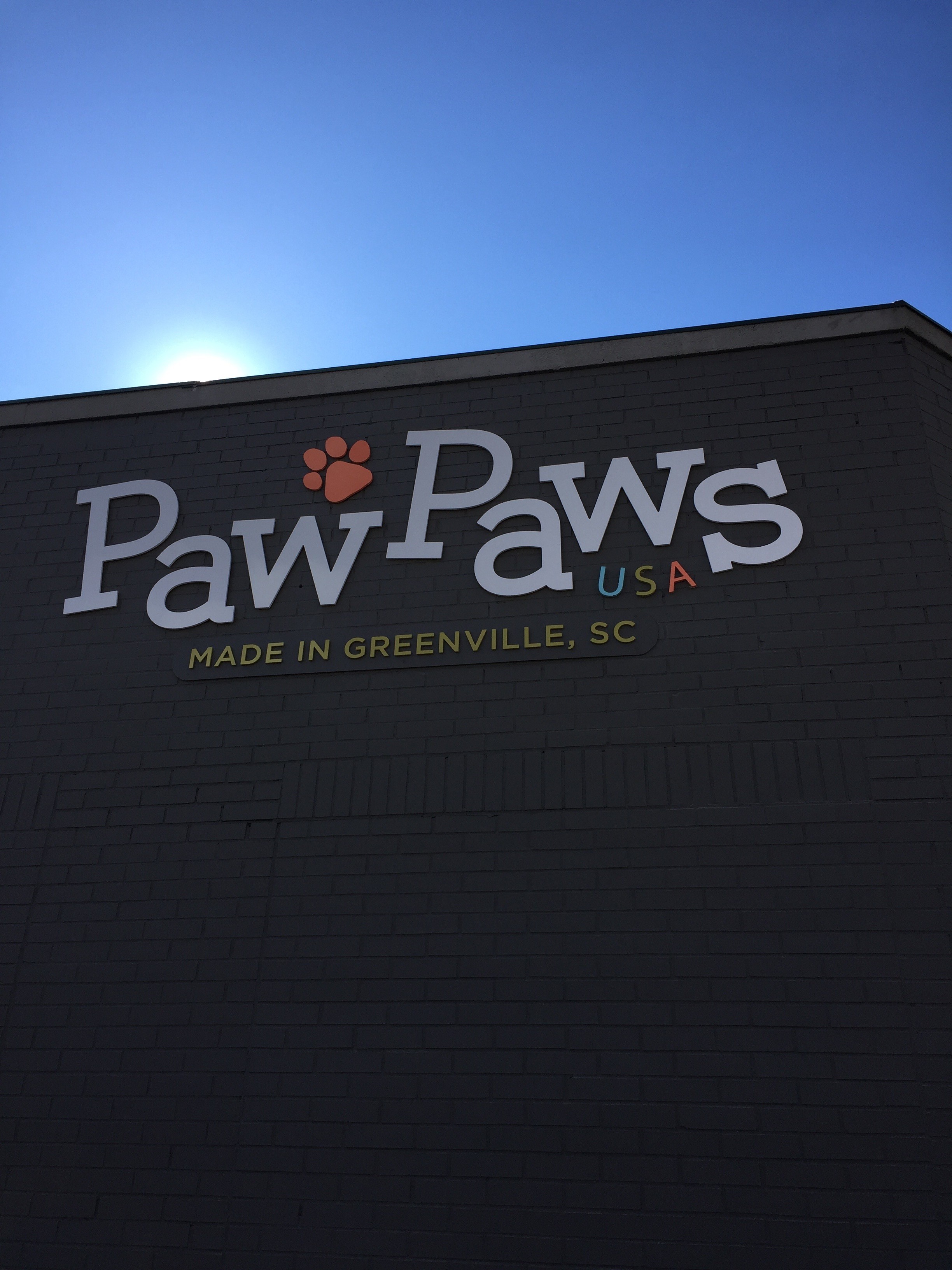 Paw Paws USA Sunkist Horizon Dog Collar