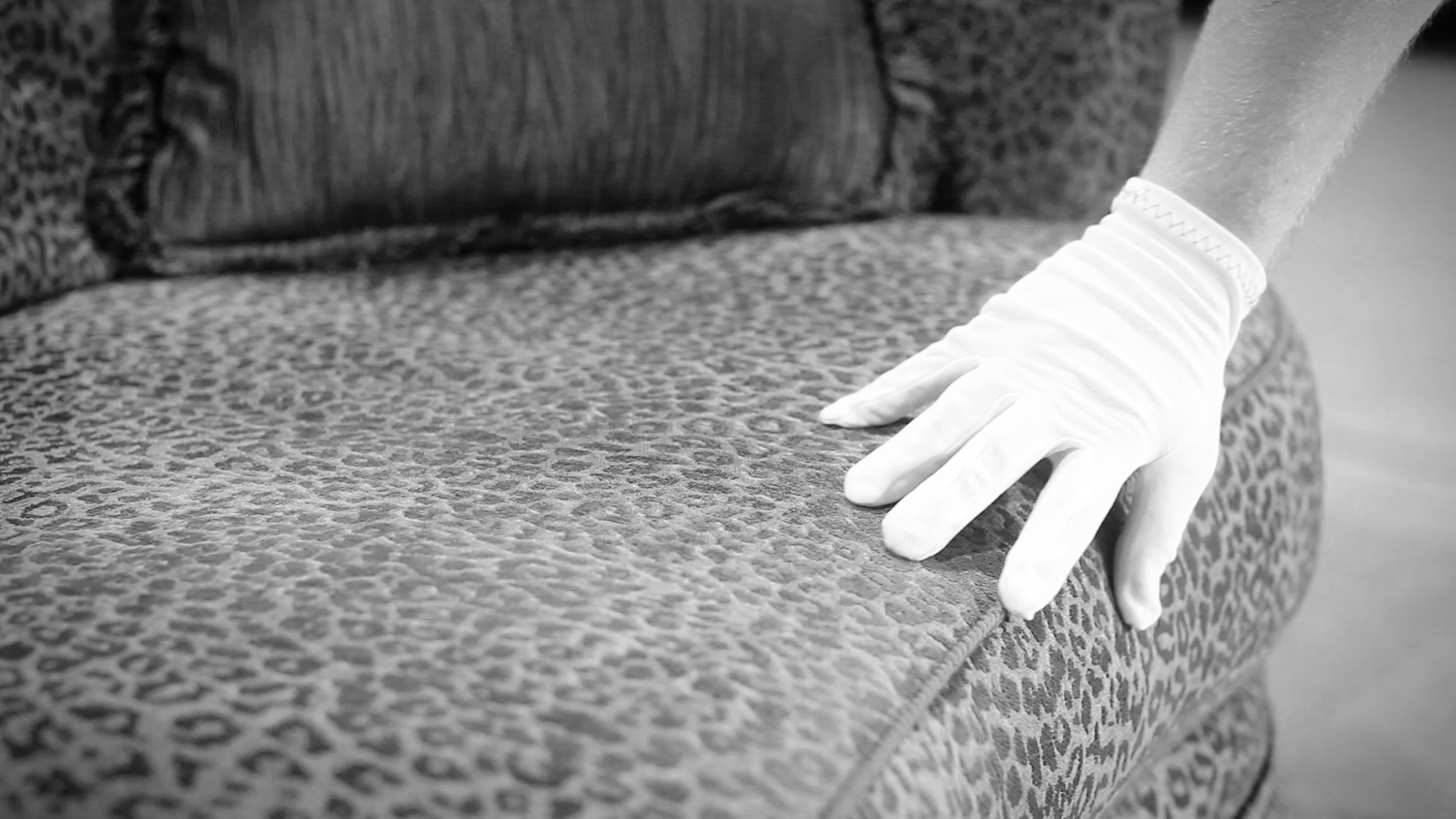 White Glove Storage Delivery Linkedin