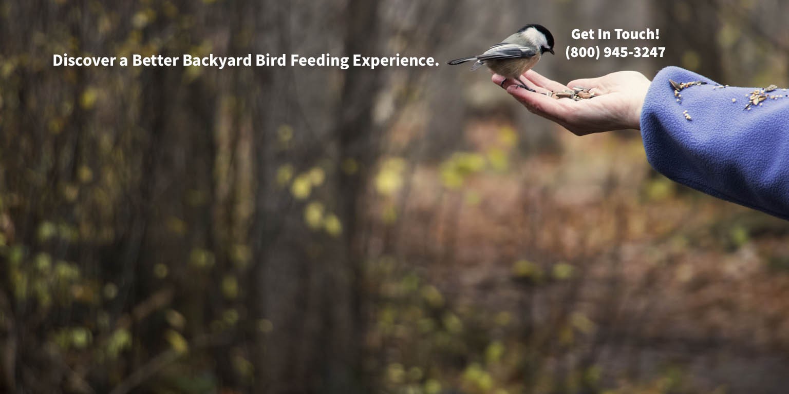 Wild Bird Centers Of America Inc Linkedin