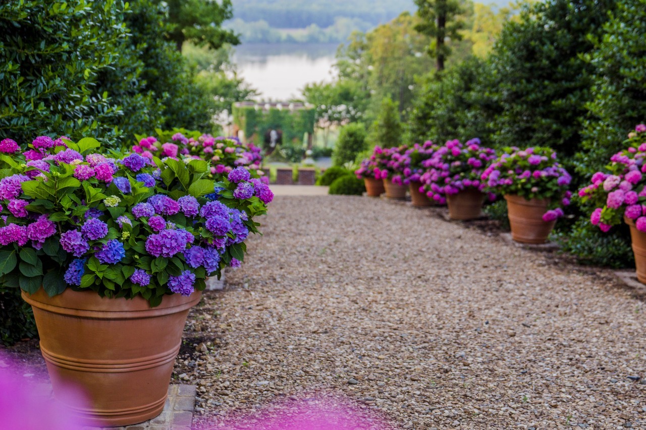 P Allen Smith Companies Linkedin