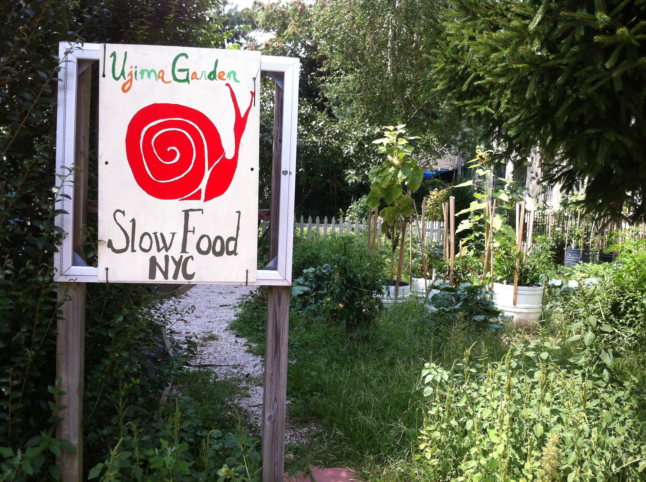 Slow Food Nyc Linkedin