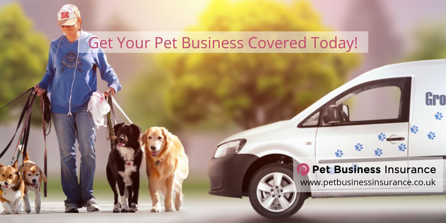 Pet Business Insurance Linkedin