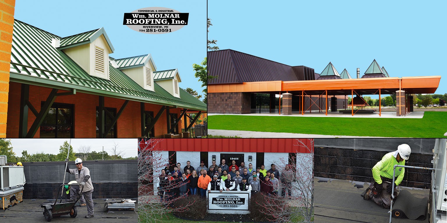 Wm Molnar Roofing Inc Linkedin