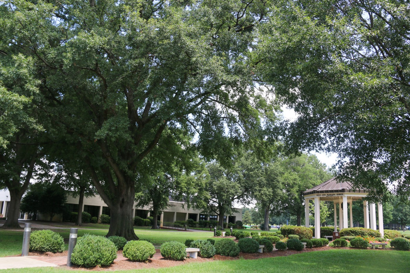 University Of Mount Olive Linkedin