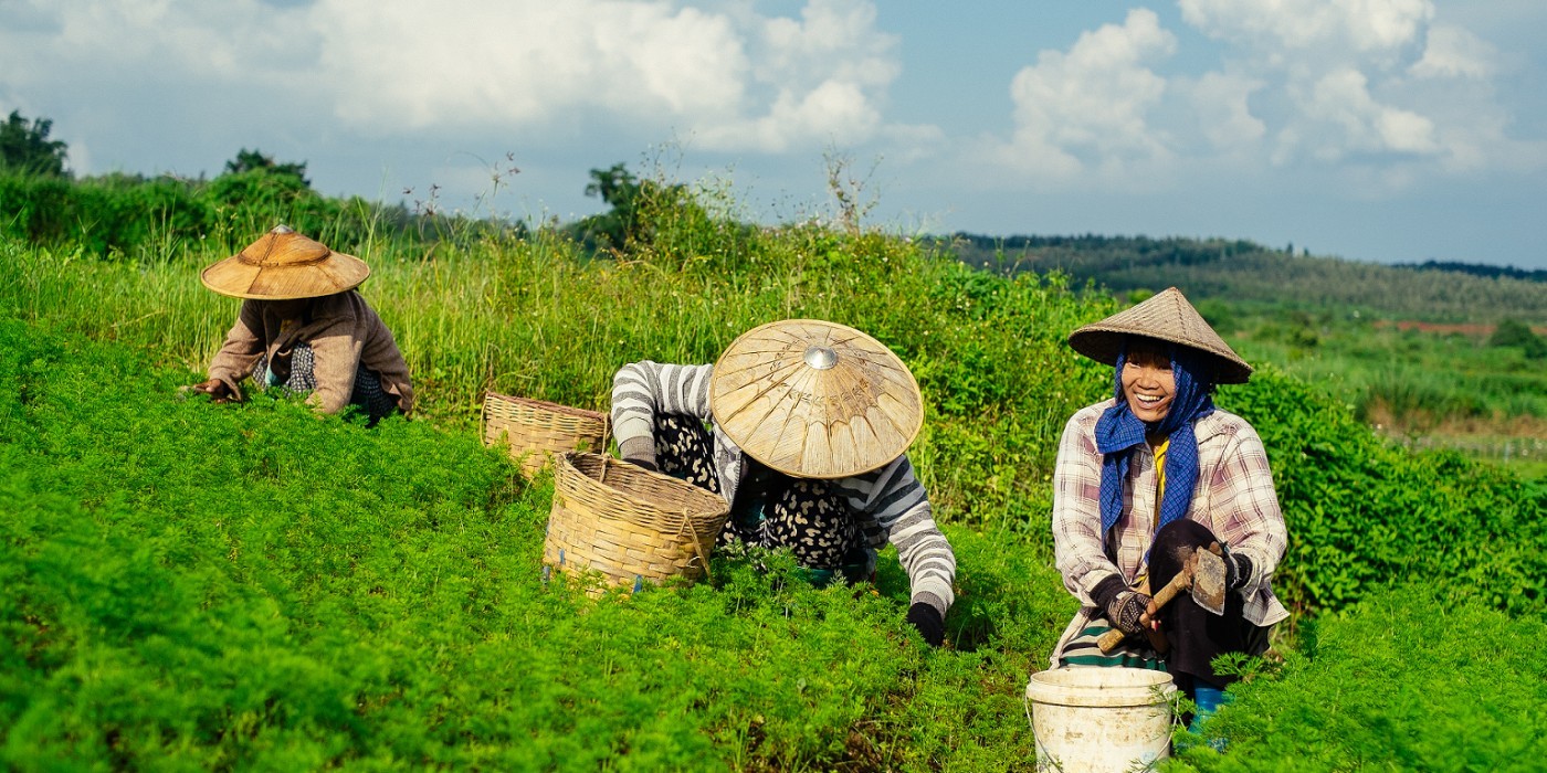 Nordic Development Fund Ndf Linkedin