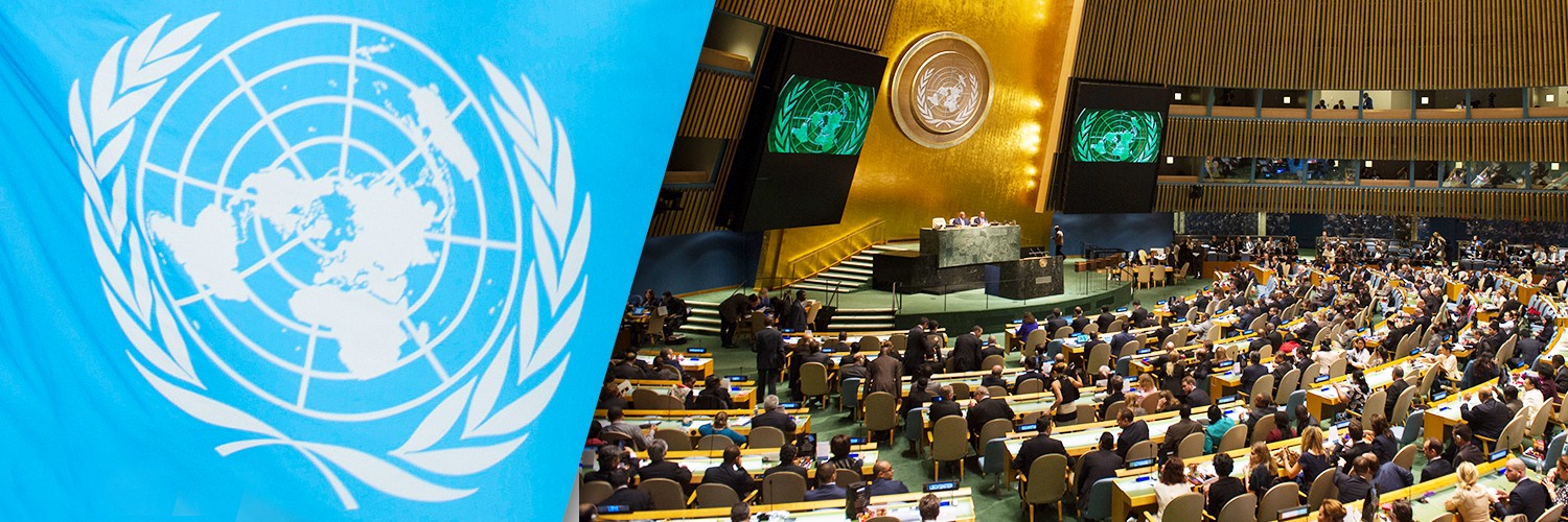United Nations | LinkedIn