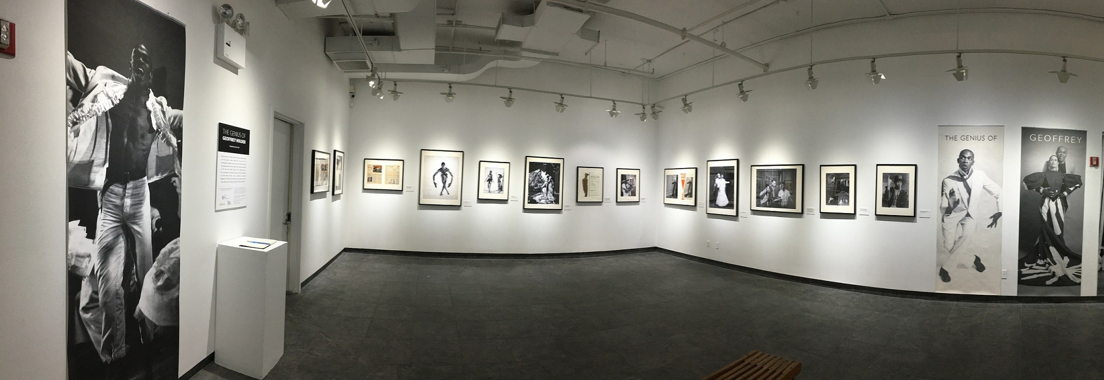 Jamaica Center For Arts And Learning Inc Jcal Linkedin