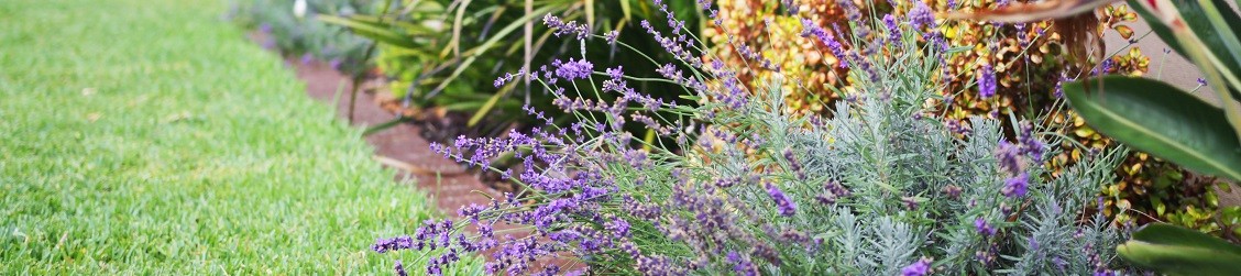 Armstrong Garden Centers Inc Linkedin