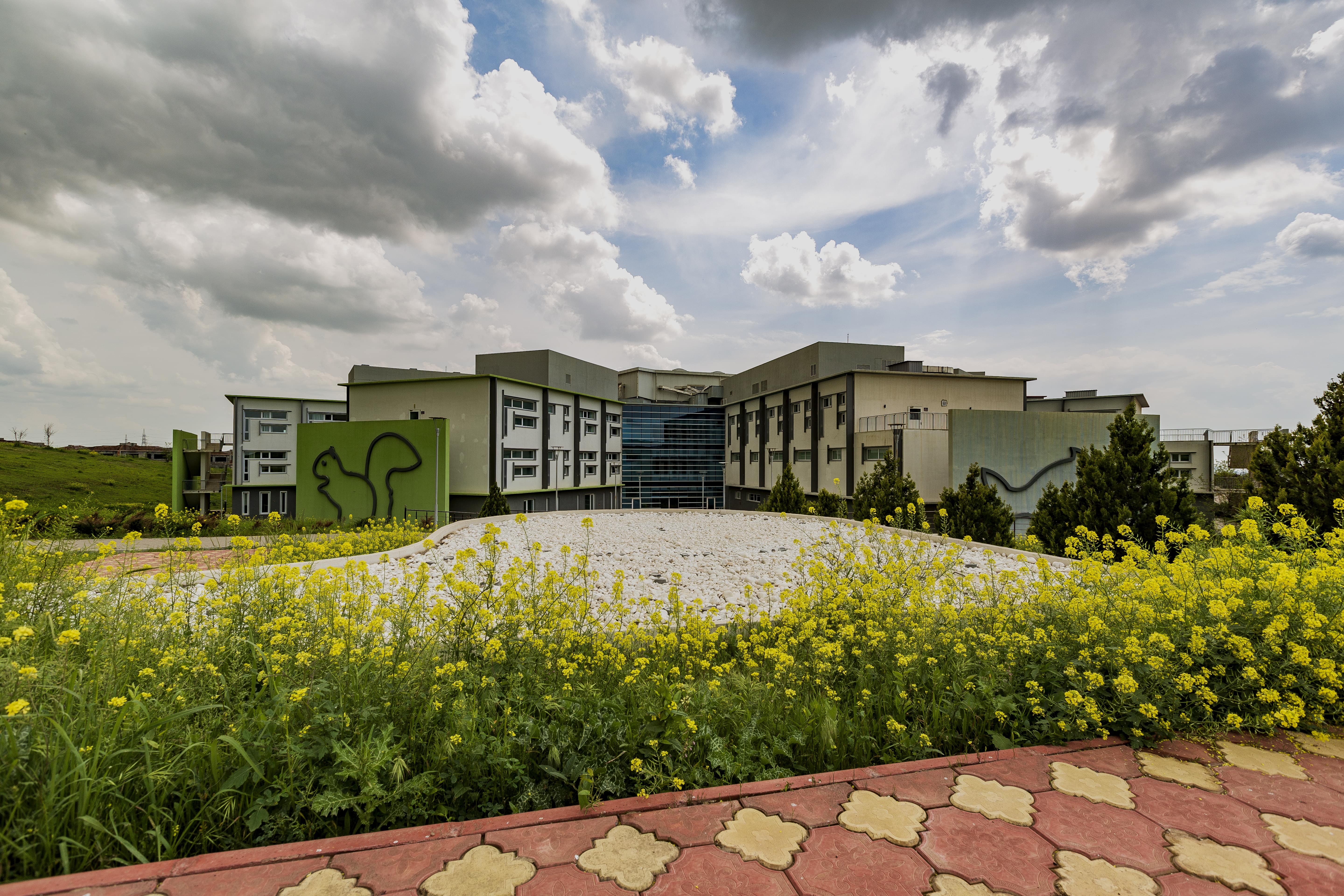 santelife hospital linkedin