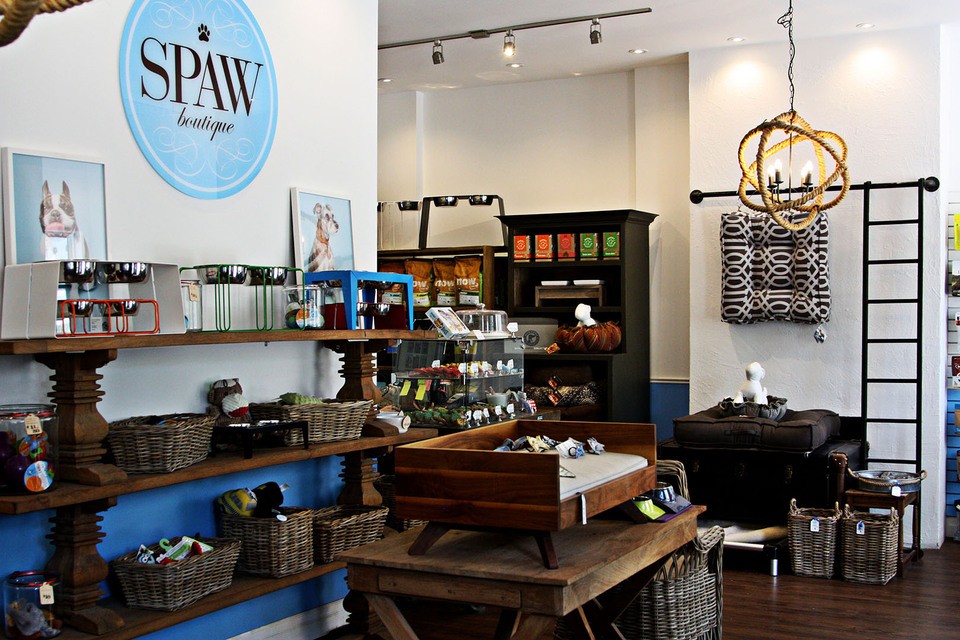 Spaw Boutique & Doggie Daycare | LinkedIn