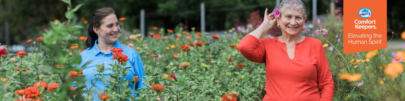 Comfort Keepers Linkedin