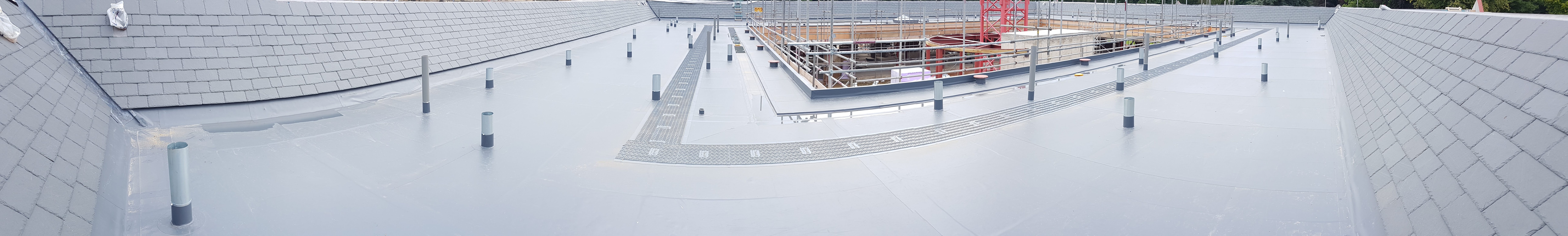Protech Roofing Linkedin