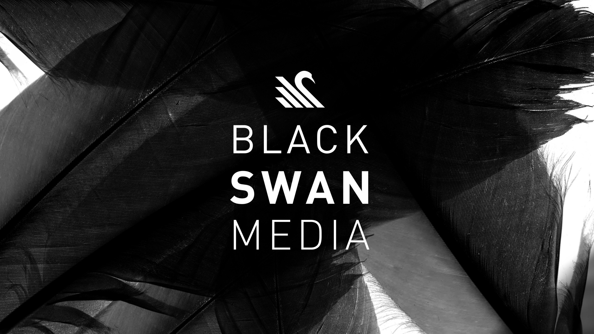 Klæbrig absorberende Glimte Black Swan Media | LinkedIn