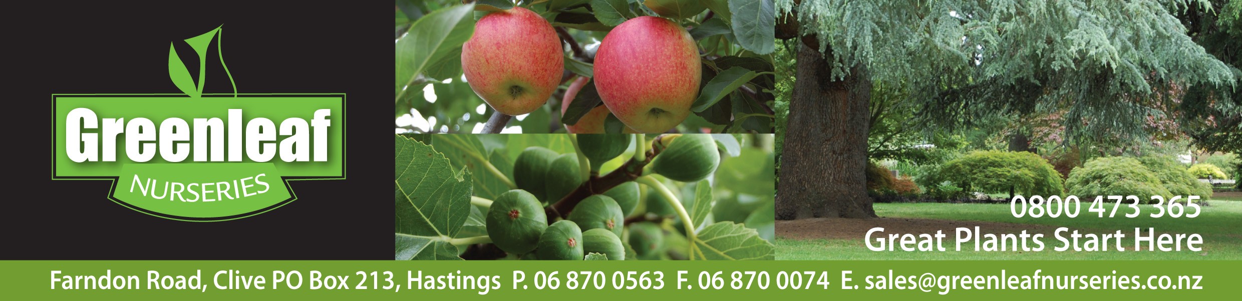 Greenleaf Nurseries Linkedin