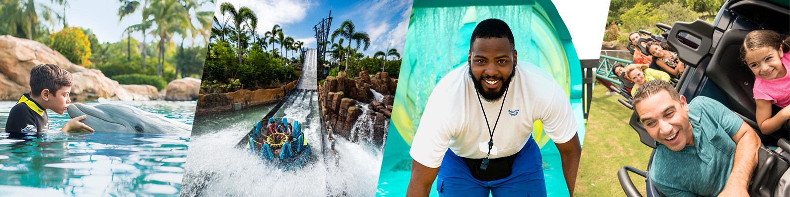 Seaworld Parks Amp Entertainment Linkedin