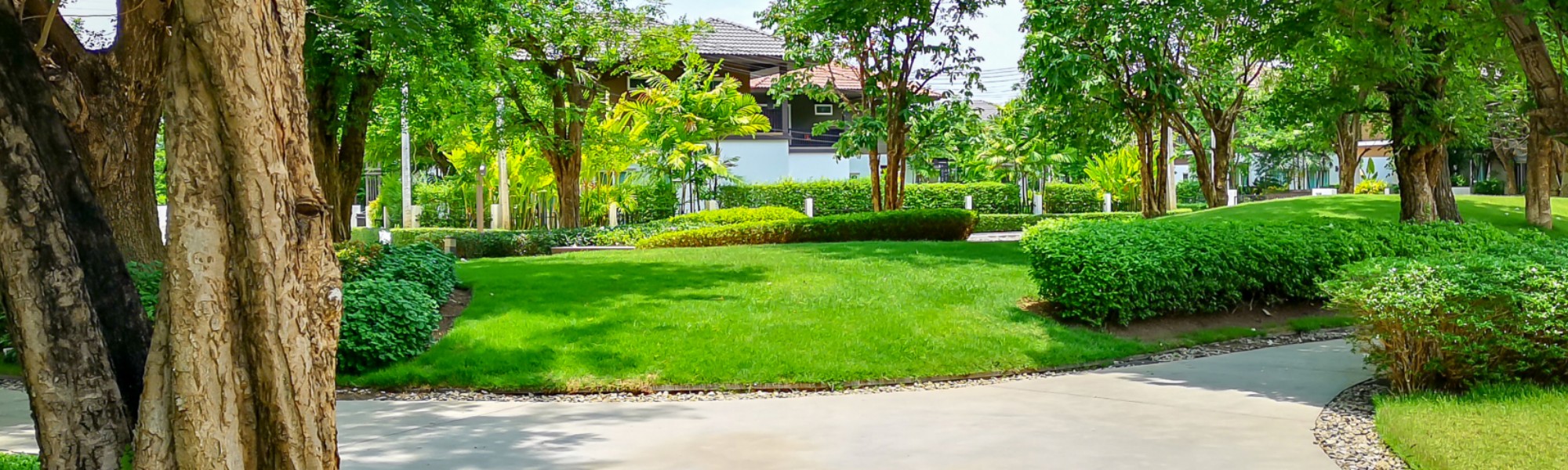 Complete Landscaping Service Linkedin, Commercial Landscaping Services Baltimore Md