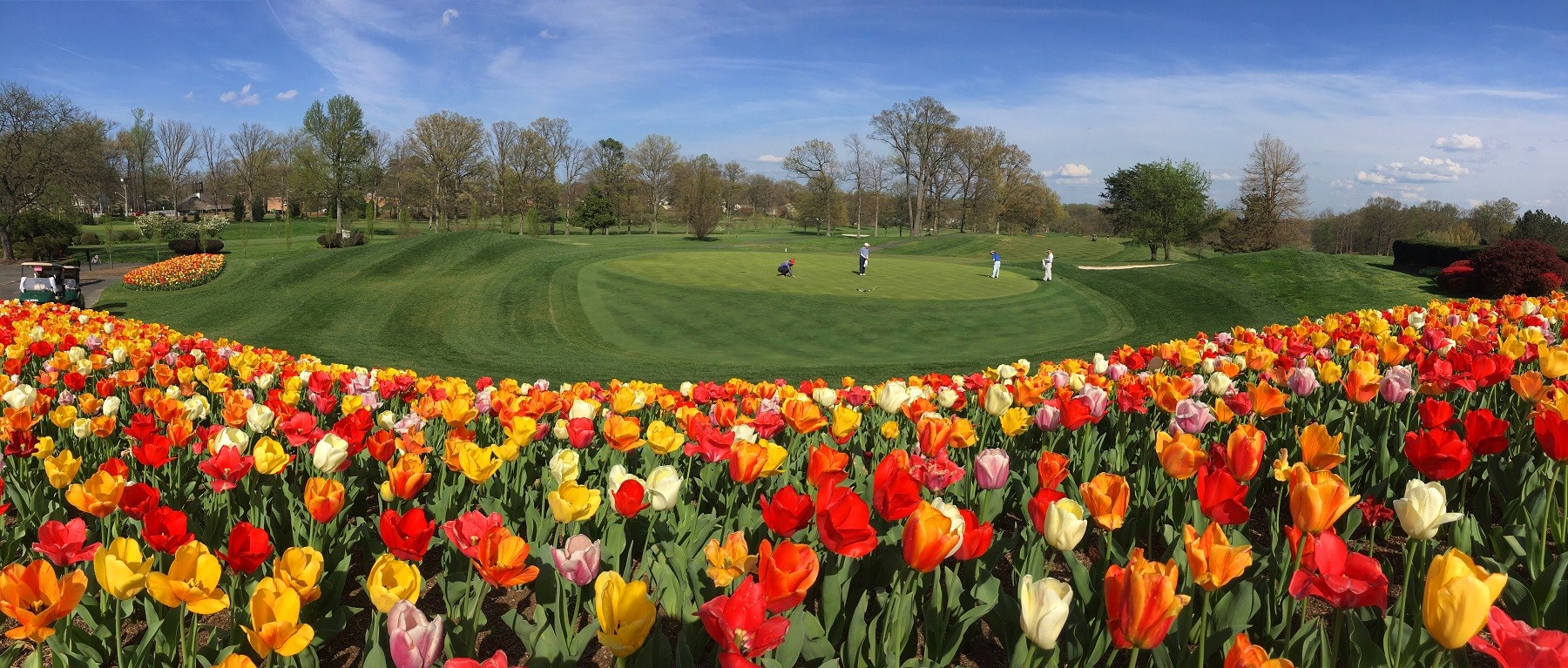 Springfield Golf Country Club Linkedin