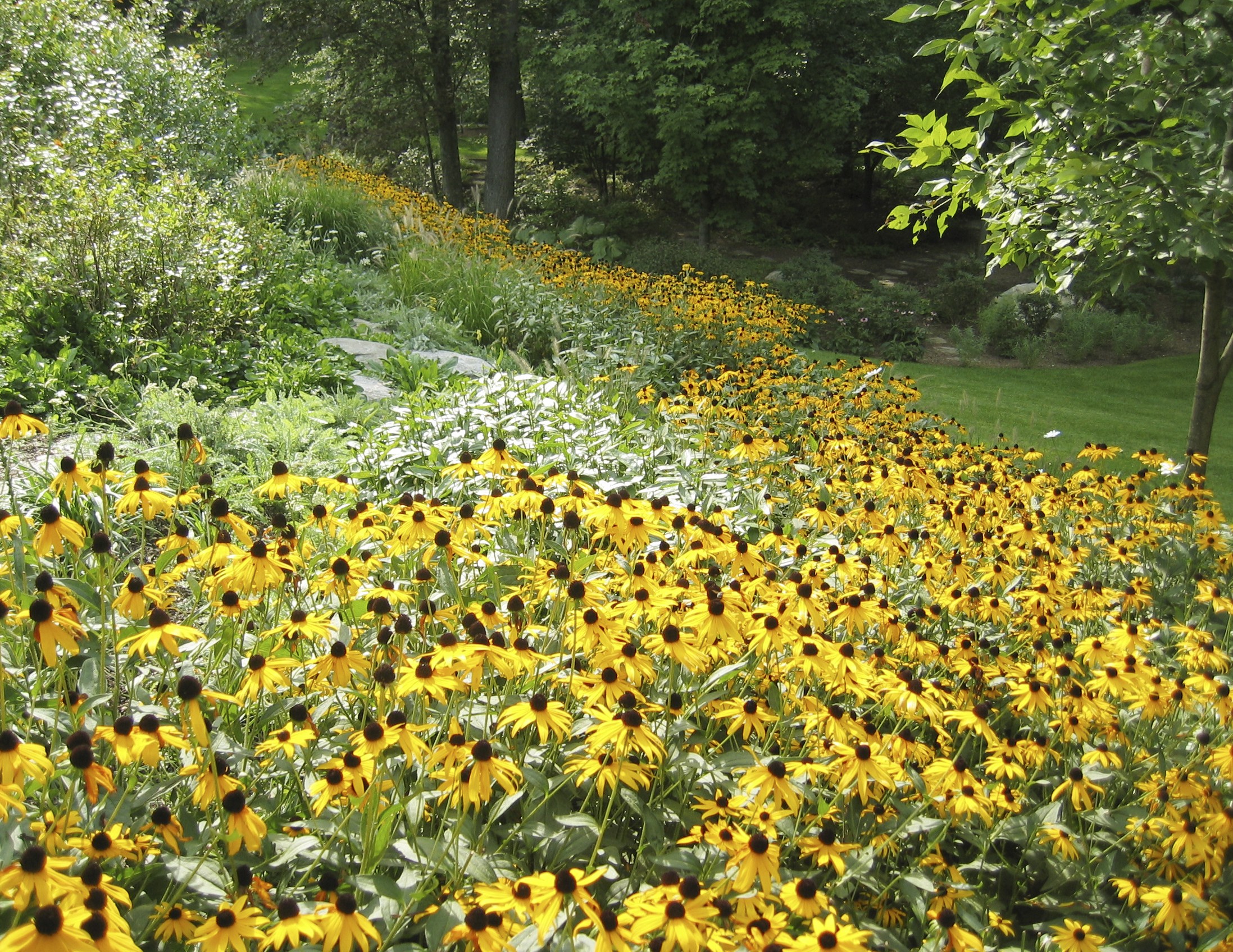 Parterre Garden Services Linkedin