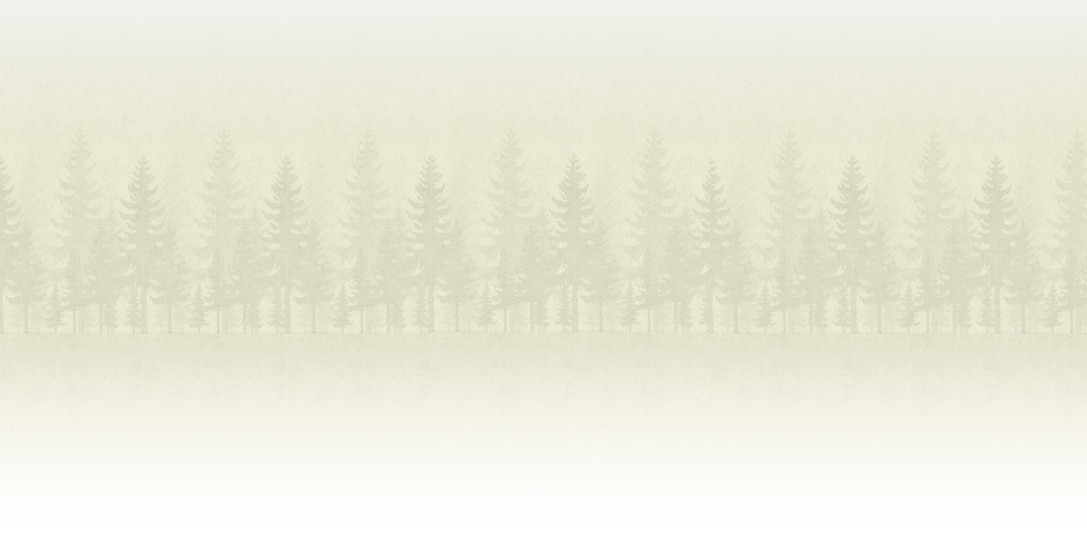 Black Forest Decor Linkedin