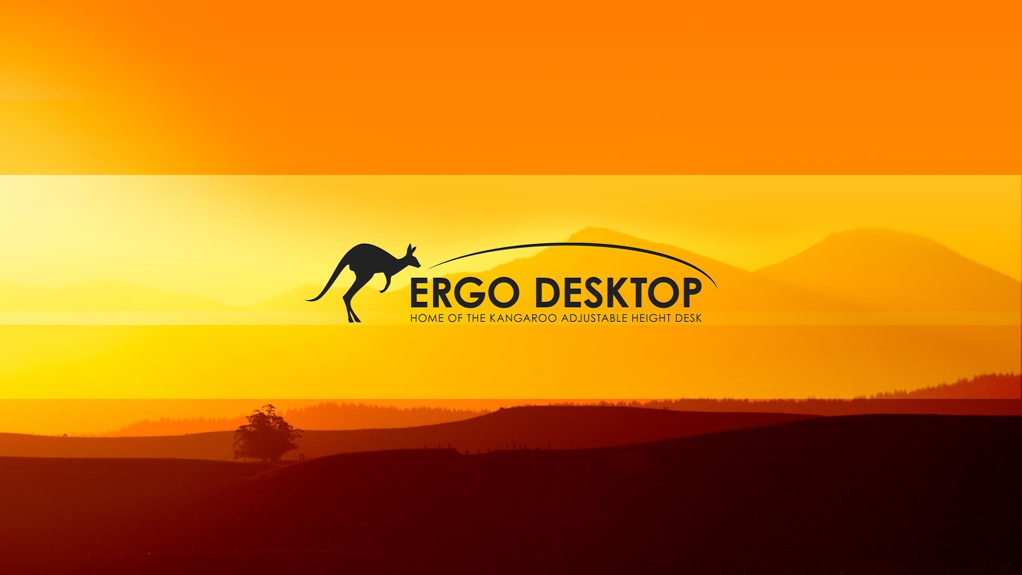 Ergo Desktop Llc Linkedin