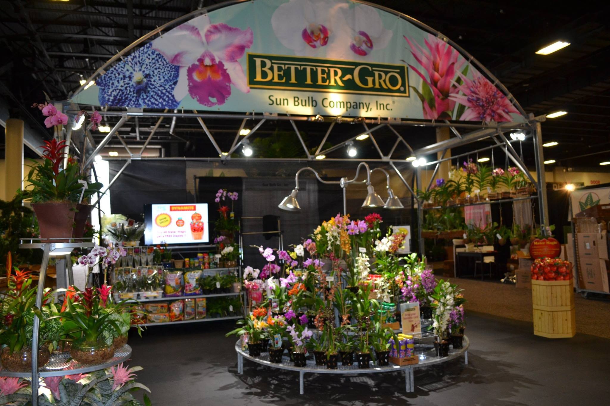 Sun Bulb Company Inc Better Gro Companies Llc Linkedin